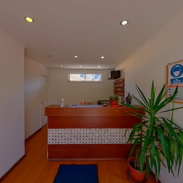 recepción
